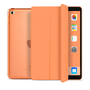 Multifunctional And Durable Flat Protective Cover for Mini123